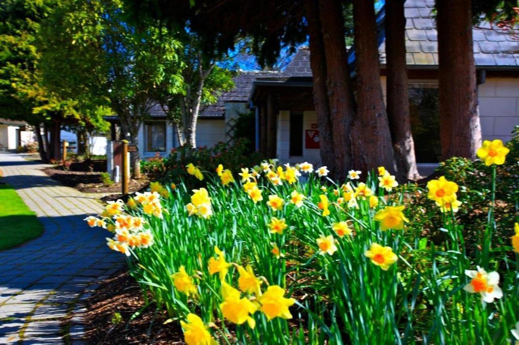 Distinction Te Anau Hotel & Villas Esterno foto